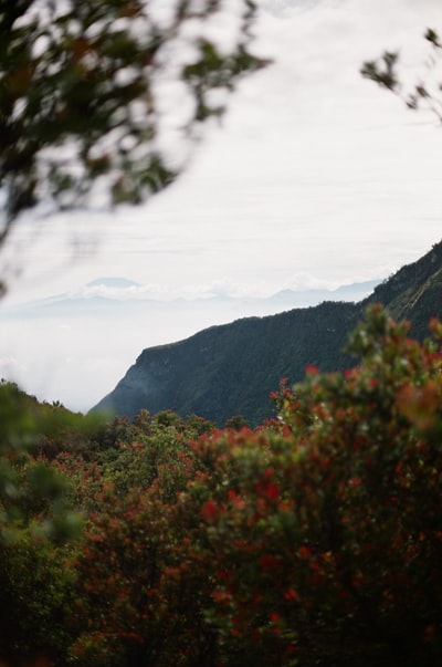 白昼蓝天下的青山
